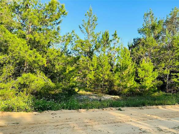 0.65 Acres of Residential Land for Sale in Interlachen, Florida