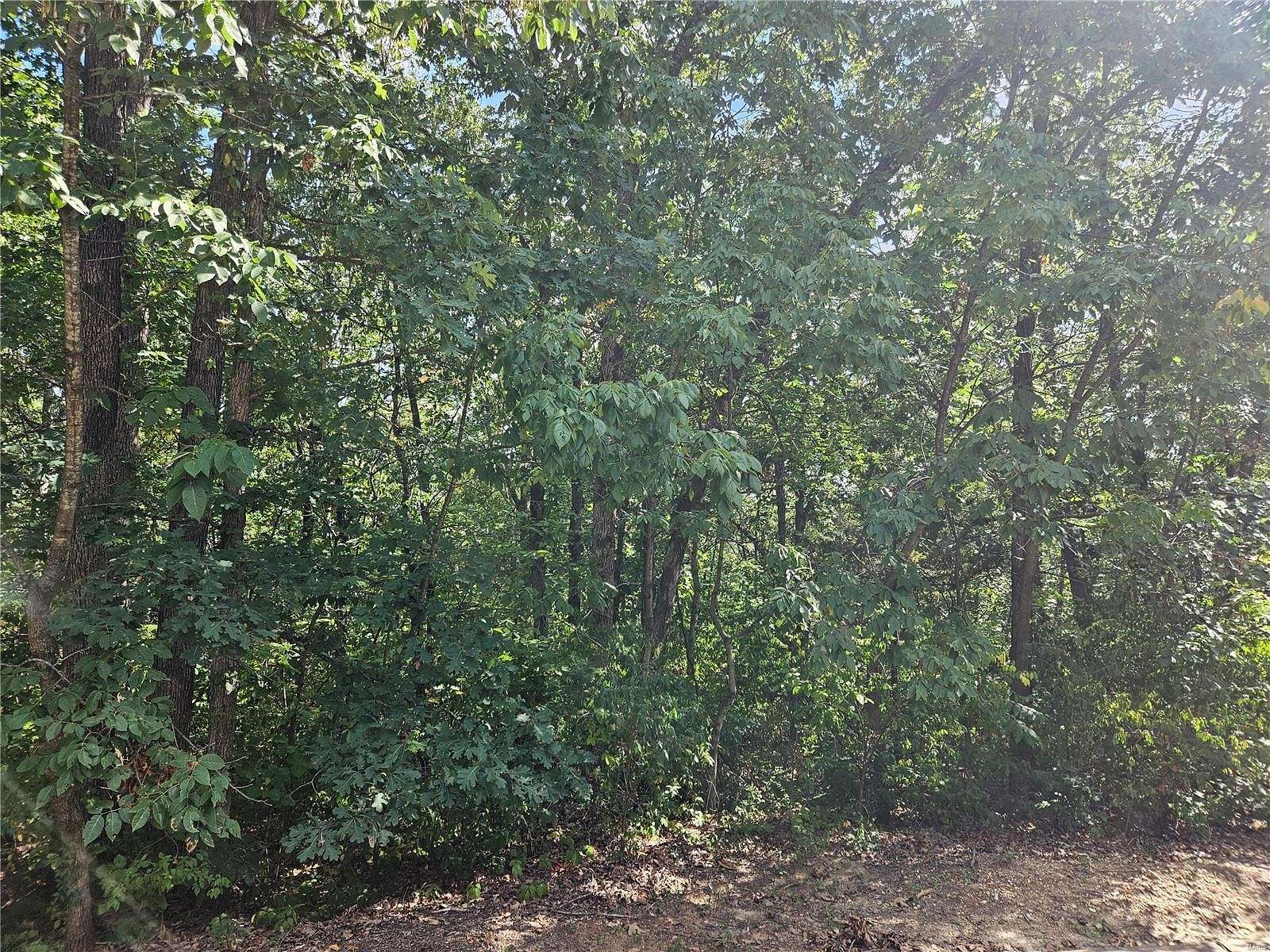 3.8 Acres of Residential Land for Sale in Bowling Green, Missouri