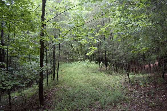 6 Acres of Land for Sale in Lynch Station, Virginia