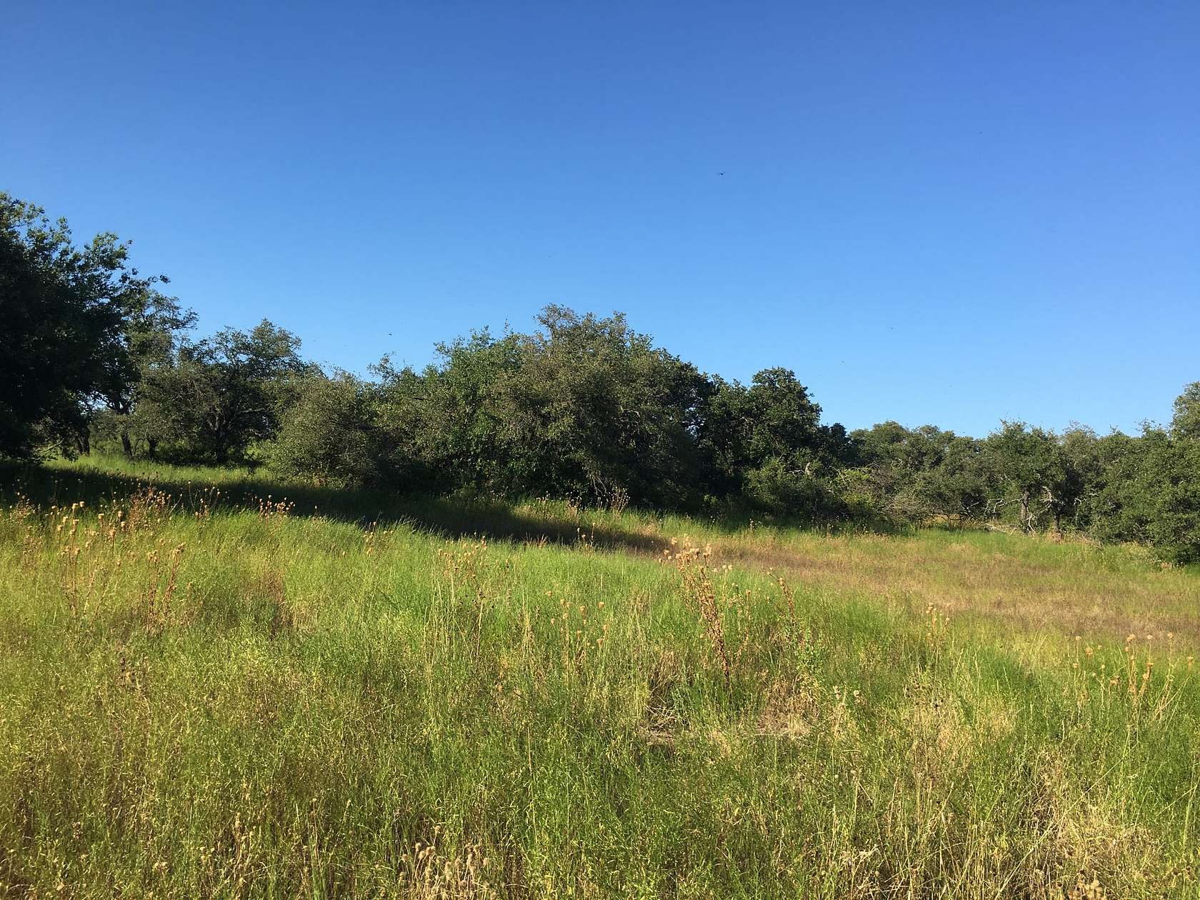23 Acres of Recreational Land for Sale in May, Texas