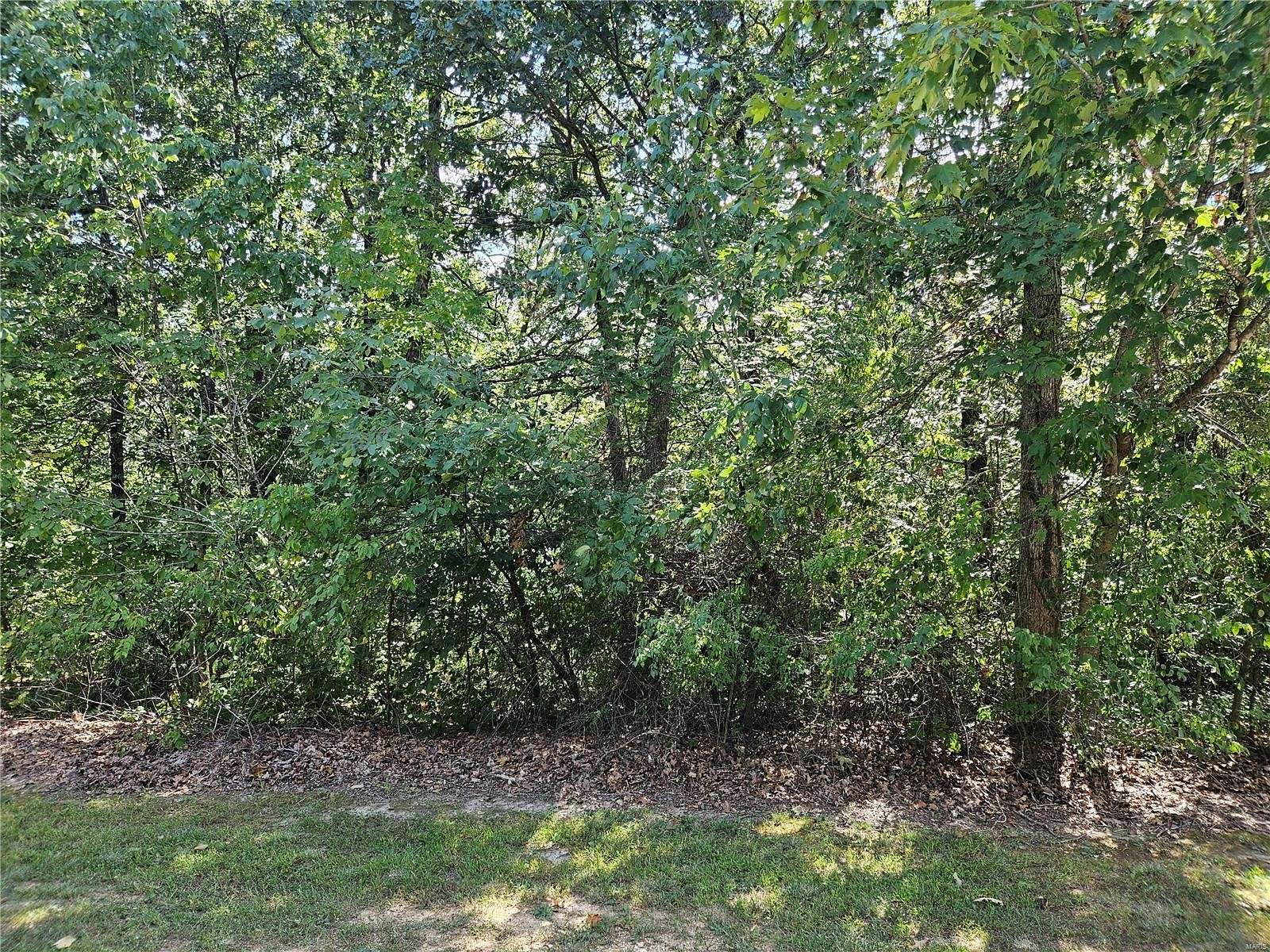 2 Acres of Residential Land for Sale in Bowling Green, Missouri