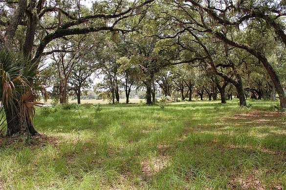 270 Acres of Agricultural Land for Sale in Melrose, Florida