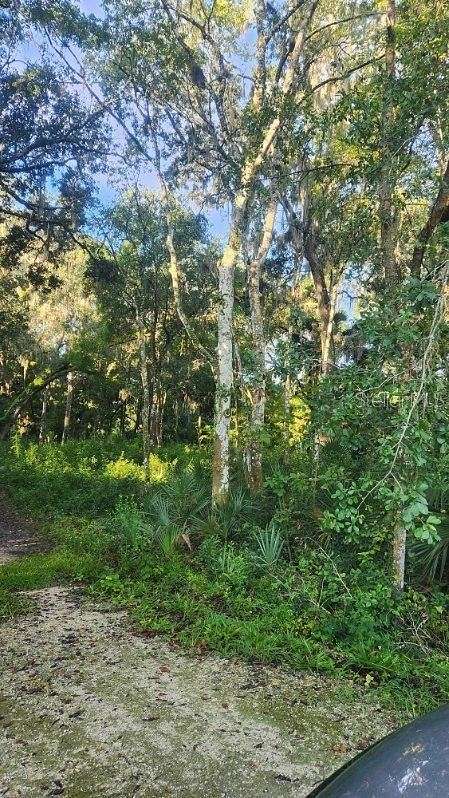 4.9 Acres of Land for Sale in Clermont, Florida