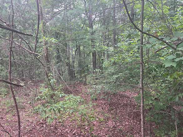 1 Acre of Residential Land for Sale in Morganton, North Carolina