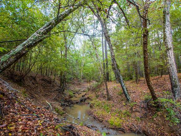 68 Acres of Recreational Land & Farm for Sale in Palestine, Texas