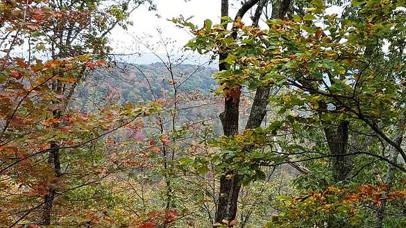 390 Acres of Recreational Land for Sale in Allred, Tennessee