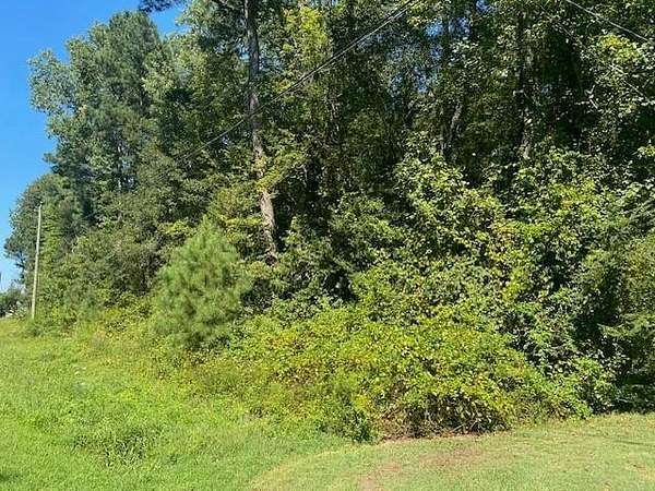0.35 Acres of Land for Sale in Atlantic, Virginia