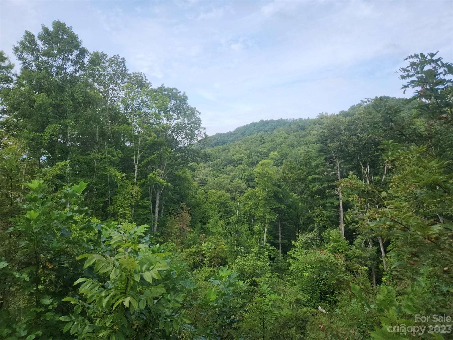 1.1 Acres of Residential Land for Sale in Asheville, North Carolina