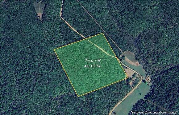 41.2 Acres of Land for Sale in Combs, Arkansas