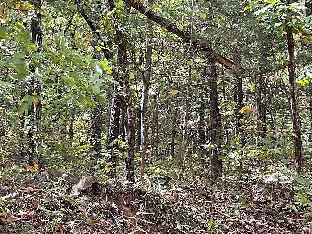 41.2 Acres of Recreational Land & Farm for Sale in Combs, Arkansas