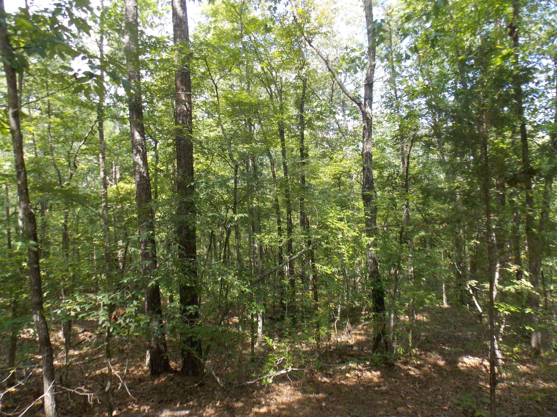 0.46 Acres of Residential Land for Sale in Lincolnton, Georgia