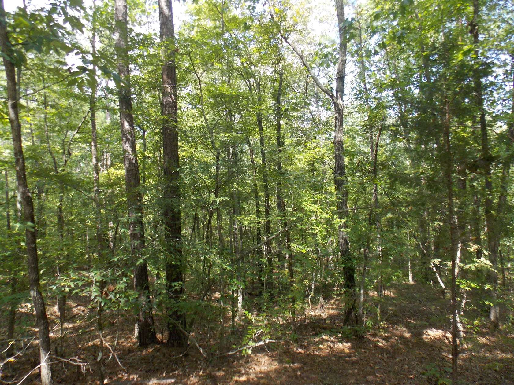 0.46 Acres of Land for Sale in Lincolnton, Georgia