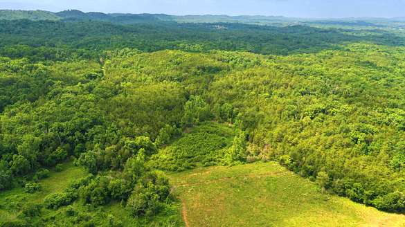 100 Acres of Recreational Land for Sale in Morristown, Tennessee