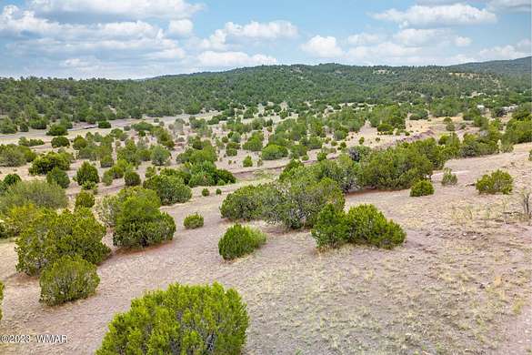1.4 Acres of Residential Land for Sale in Eagar, Arizona