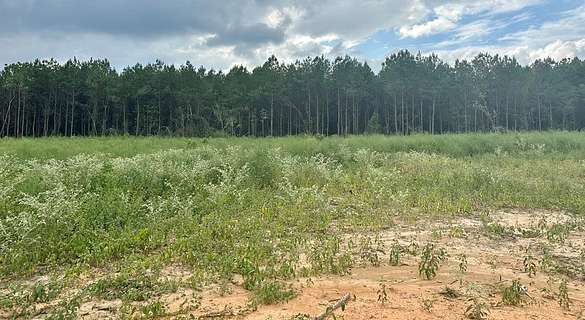 2.12 Acres of Residential Land for Sale in Bogue Chitto, Mississippi