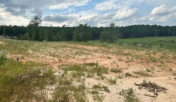 2 Acres of Residential Land for Sale in Bogue Chitto, Mississippi