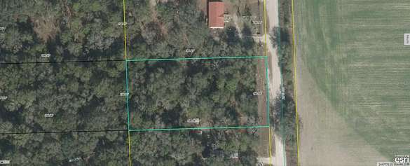 1 Acre of Land for Sale in Bell, Florida