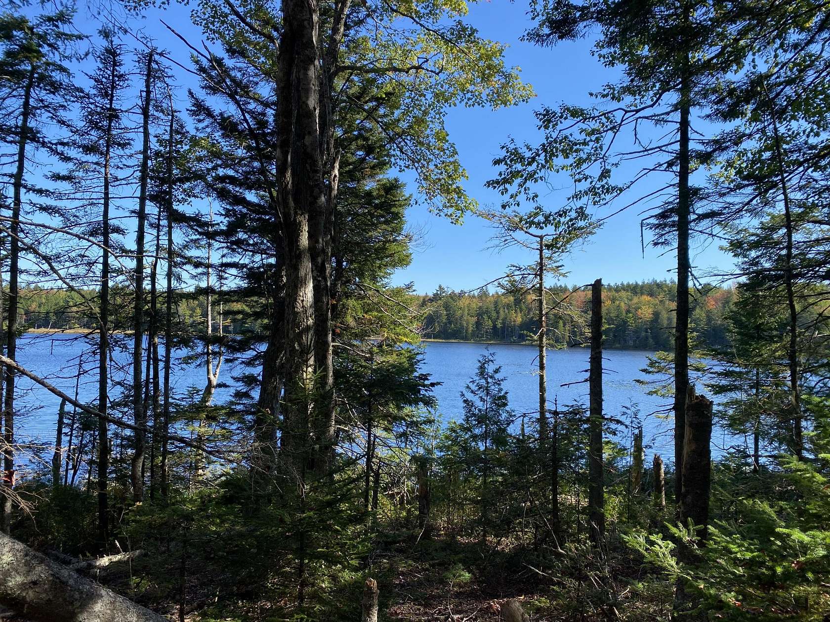 22 Acres of Land with Home for Sale in Gouldsboro, Maine