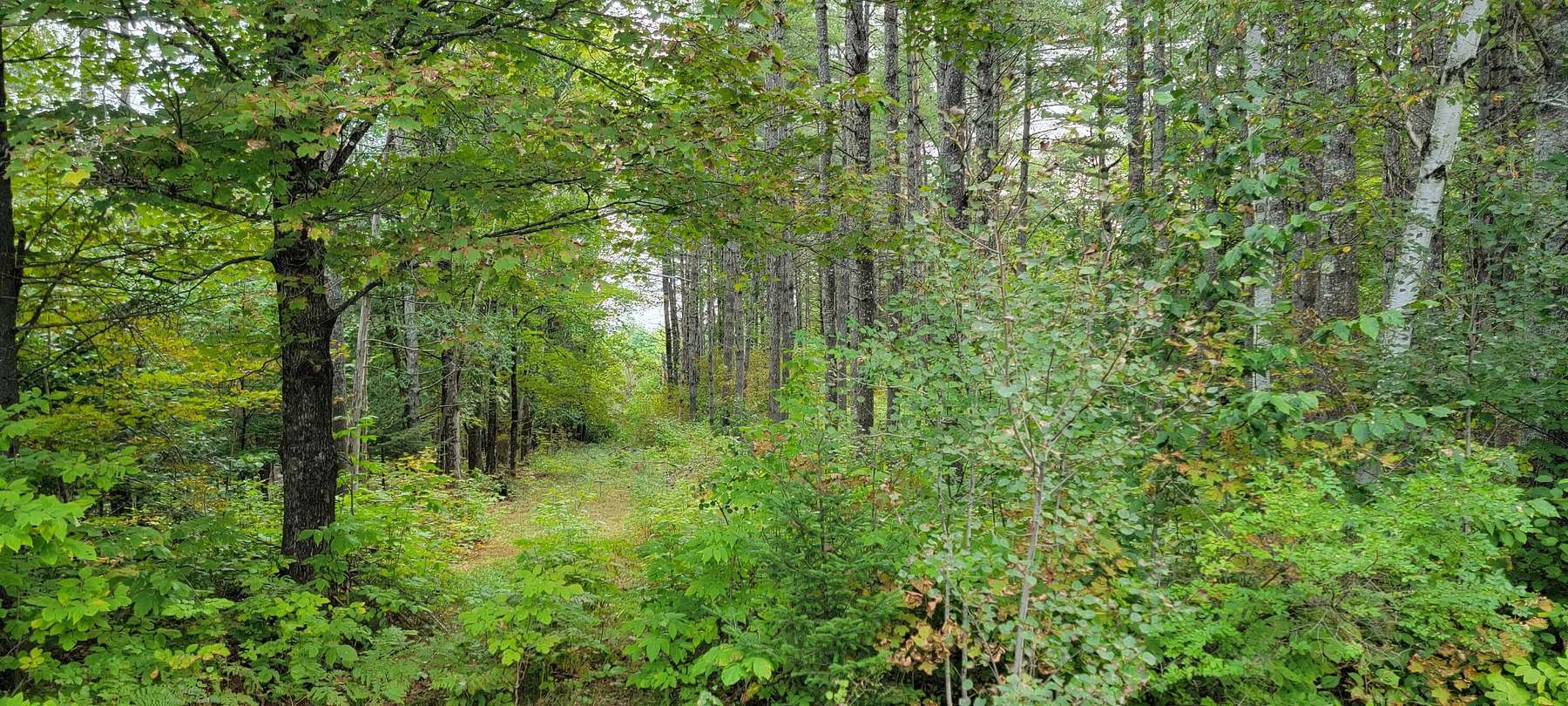 4 Acres of Residential Land for Sale in Dover-Foxcroft, Maine