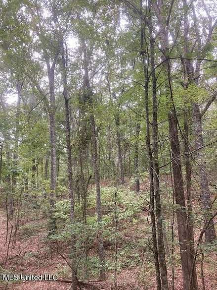 2.8 Acres of Land for Sale in Mount Pleasant, Mississippi