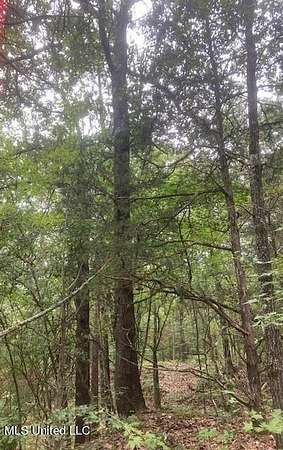 2.75 Acres of Land for Sale in Mount Pleasant, Mississippi