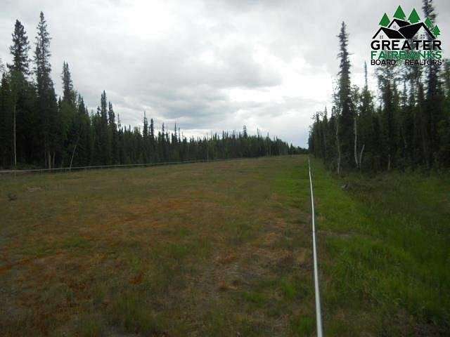 21.8 Acres of Land for Sale in North Pole, Alaska