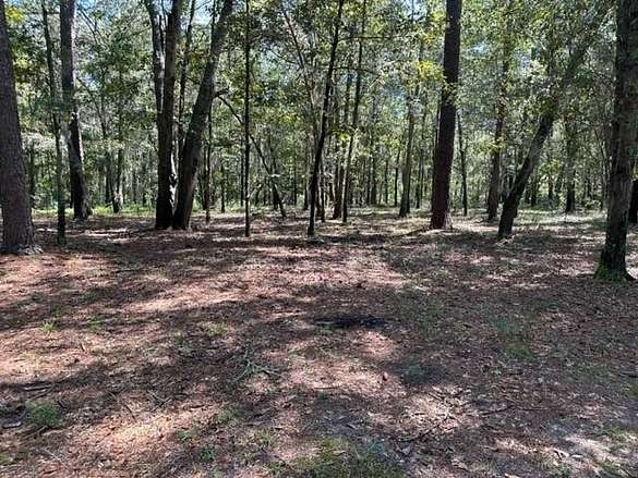 0.65 Acres of Residential Land for Sale in Summerton, South Carolina