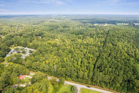 52.8 Acres of Agricultural Land for Sale in Union Point, Georgia