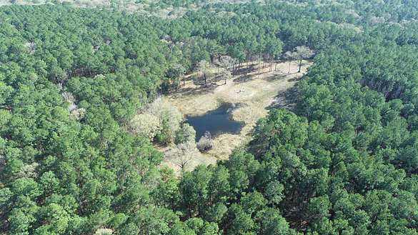 507 Acres of Agricultural Land for Sale in Hemphill, Texas