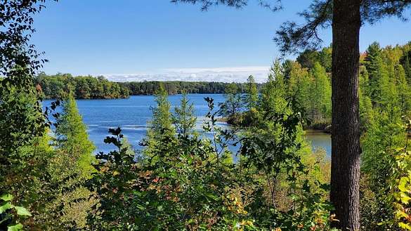 21 Acres of Land for Sale in Lac du Flambeau, Wisconsin
