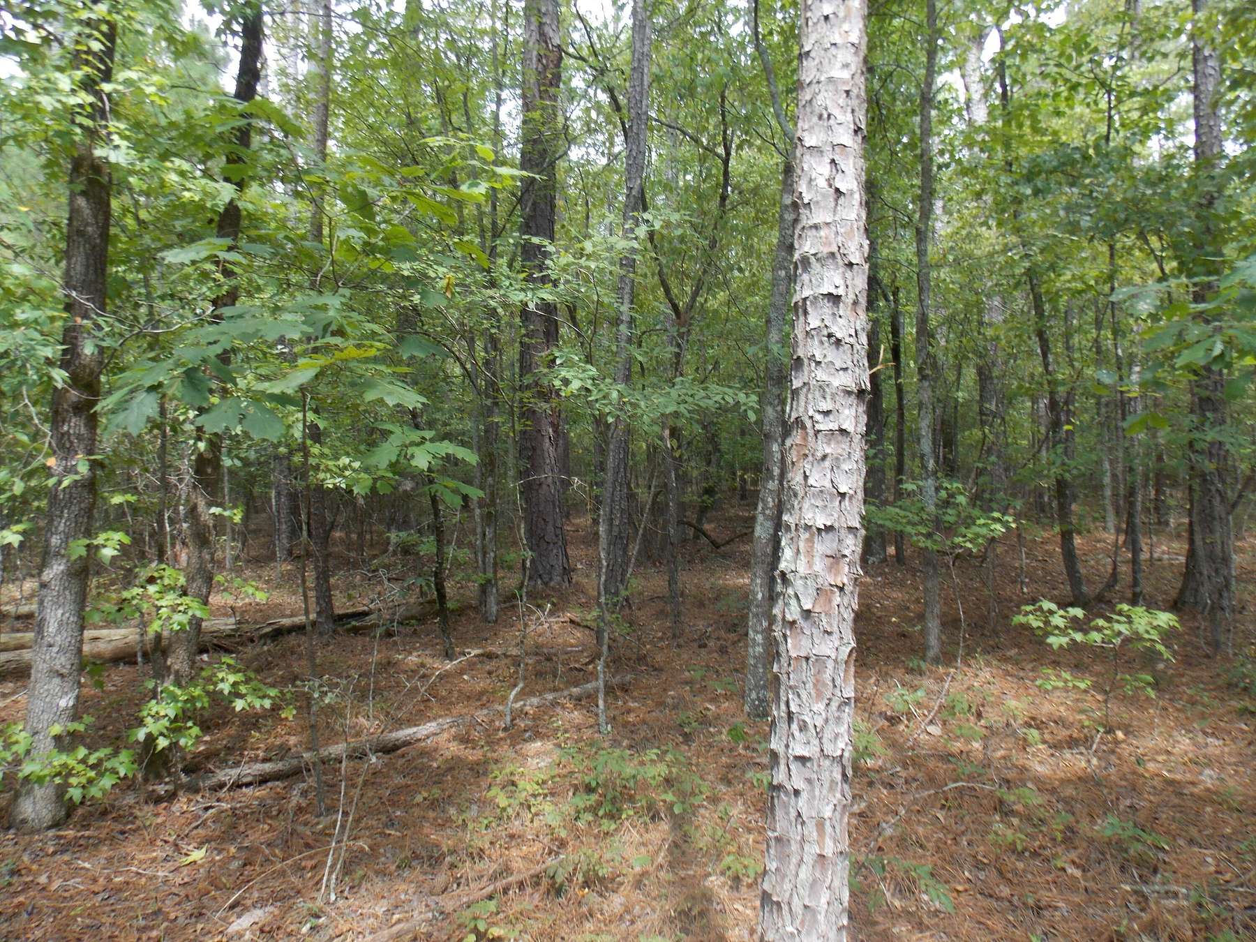 0.33 Acres of Residential Land for Sale in Tignall, Georgia