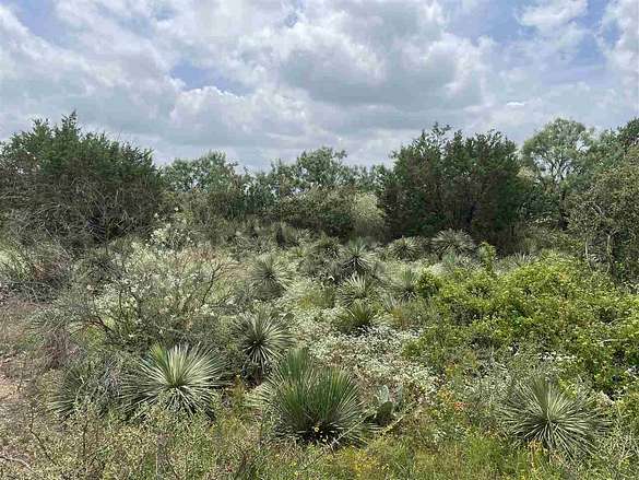 0.23 Acres of Residential Land for Sale in Granite Shoals, Texas