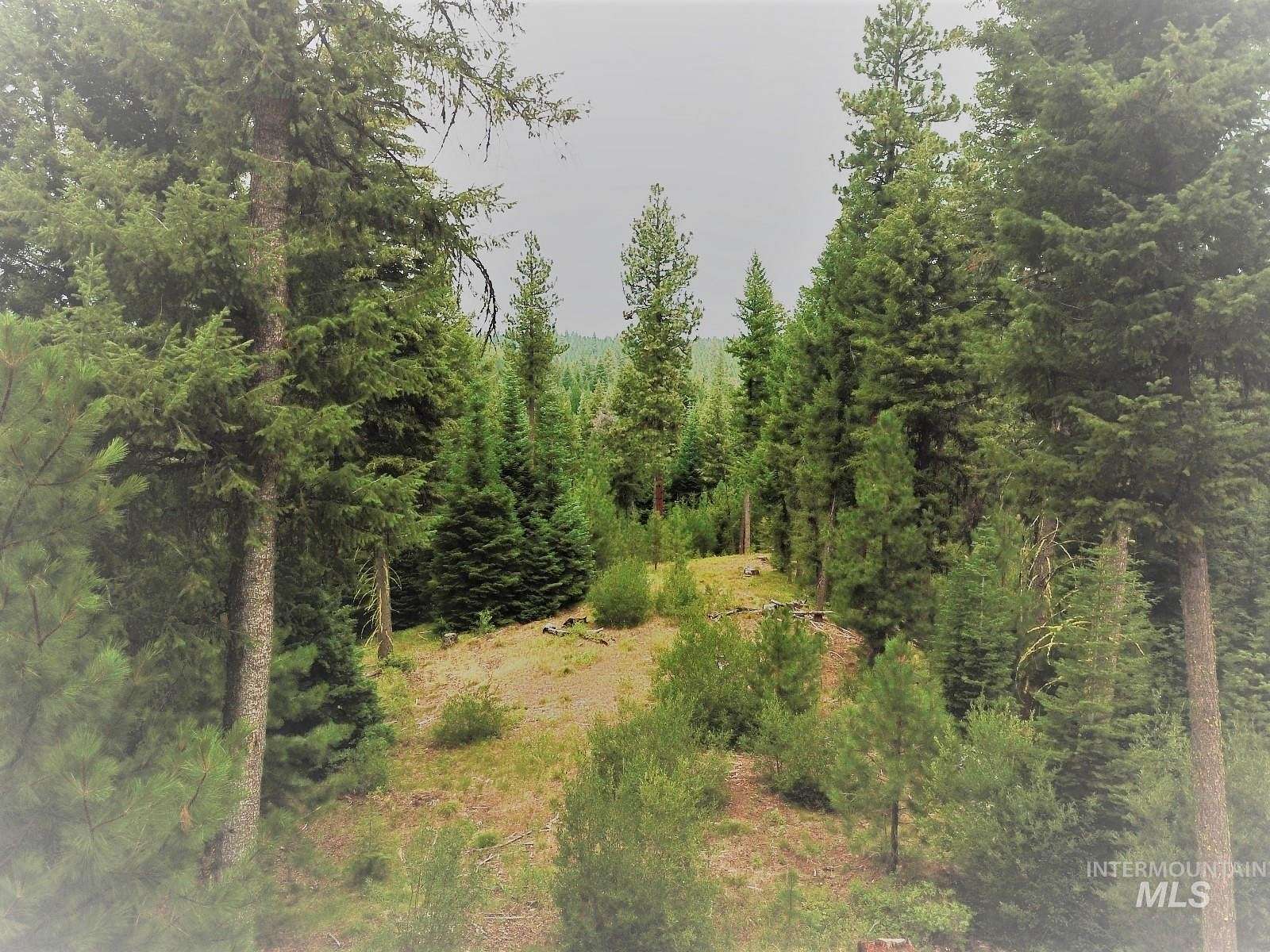 2.4 Acres of Land for Sale in Cascade, Idaho