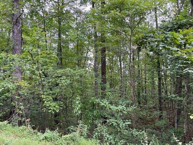 0.45 Acres of Residential Land for Sale in Dunlap, Tennessee