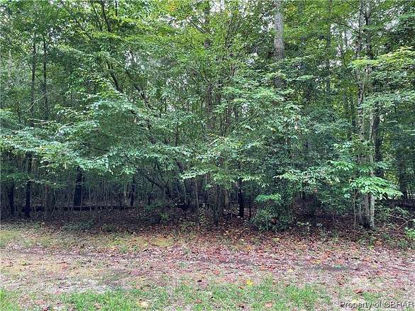10.1 Acres of Land for Sale in Pinero, Virginia