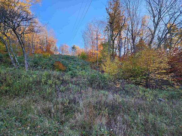 3 Acres of Residential Land for Sale in Harman, West Virginia