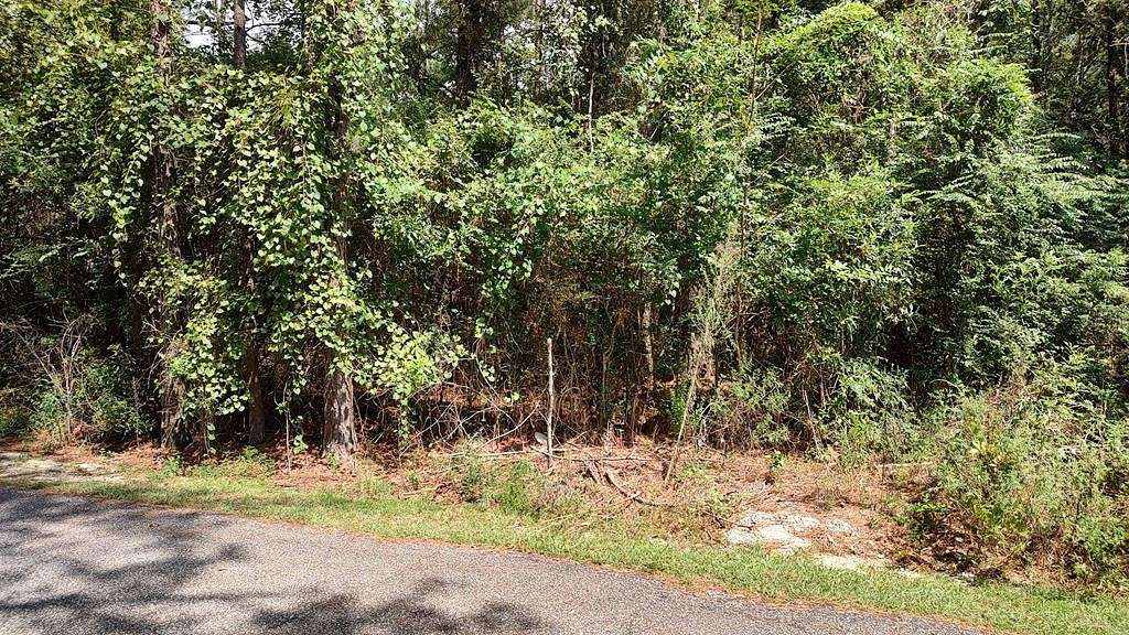 1 Acre of Residential Land for Sale in Carriere, Mississippi