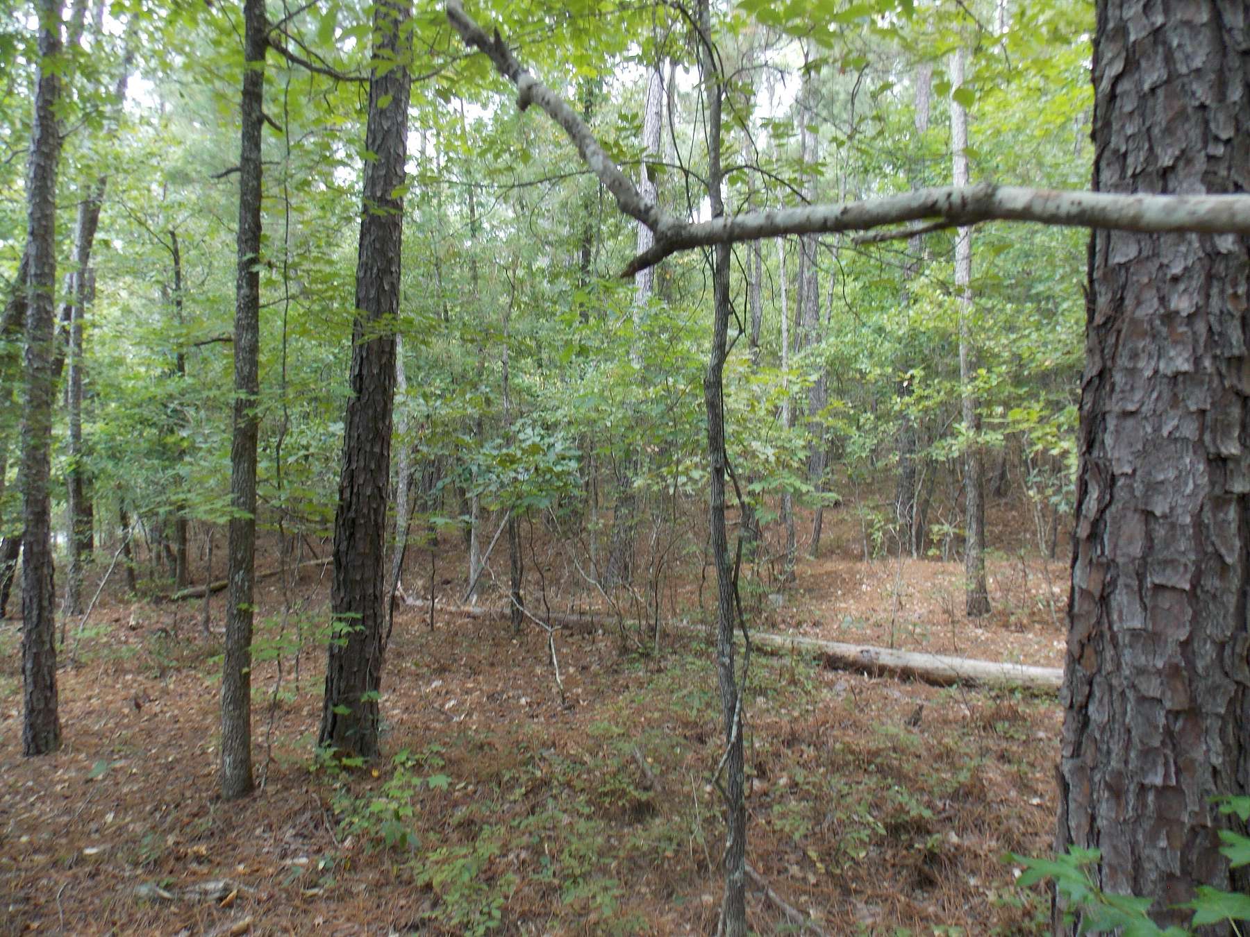 0.45 Acres of Residential Land for Sale in Tignall, Georgia