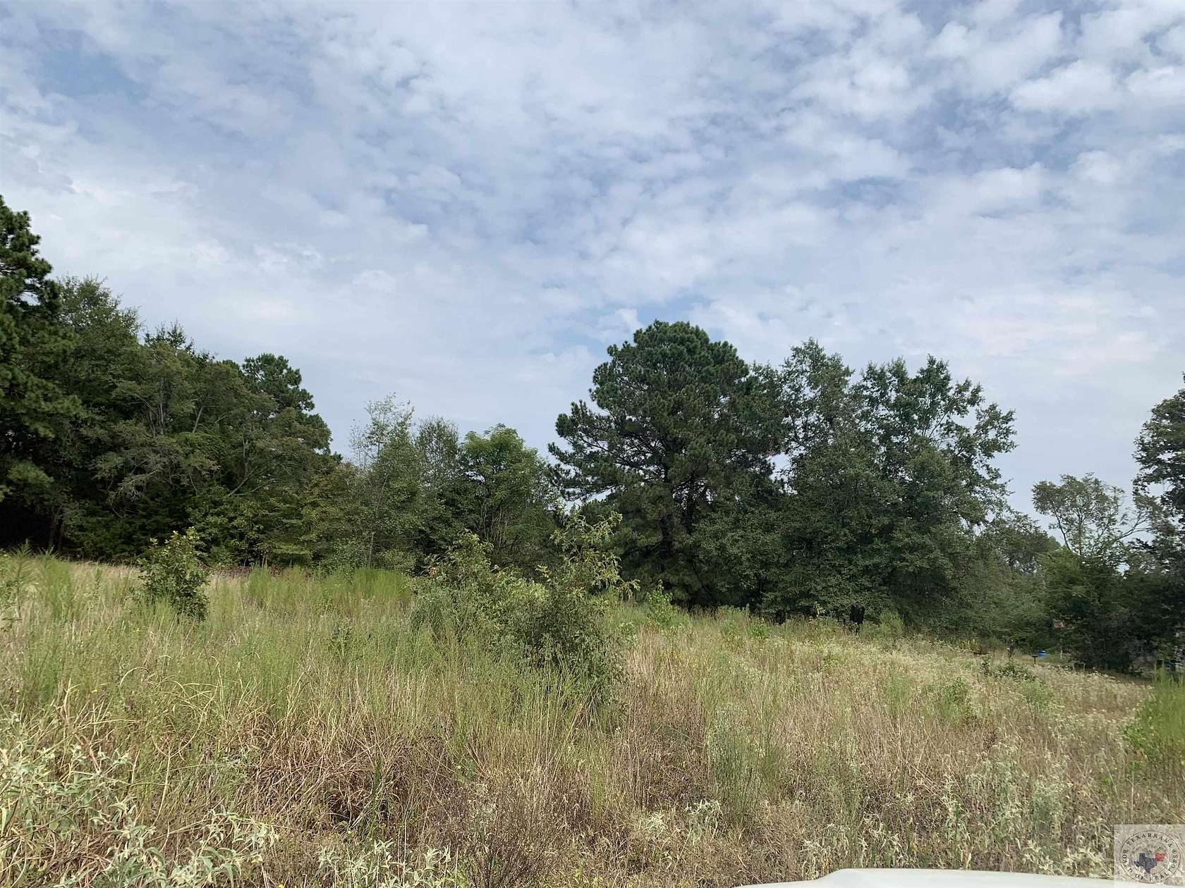 6 Acres of Residential Land for Sale in Atlanta, Texas