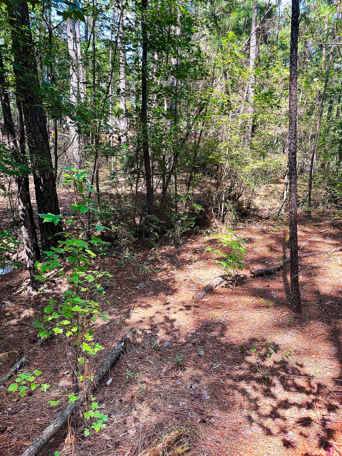 3.4 Acres of Land for Sale in Elizabethtown, North Carolina