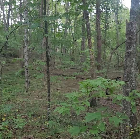 2.4 Acres of Residential Land for Sale in Spencer, Tennessee