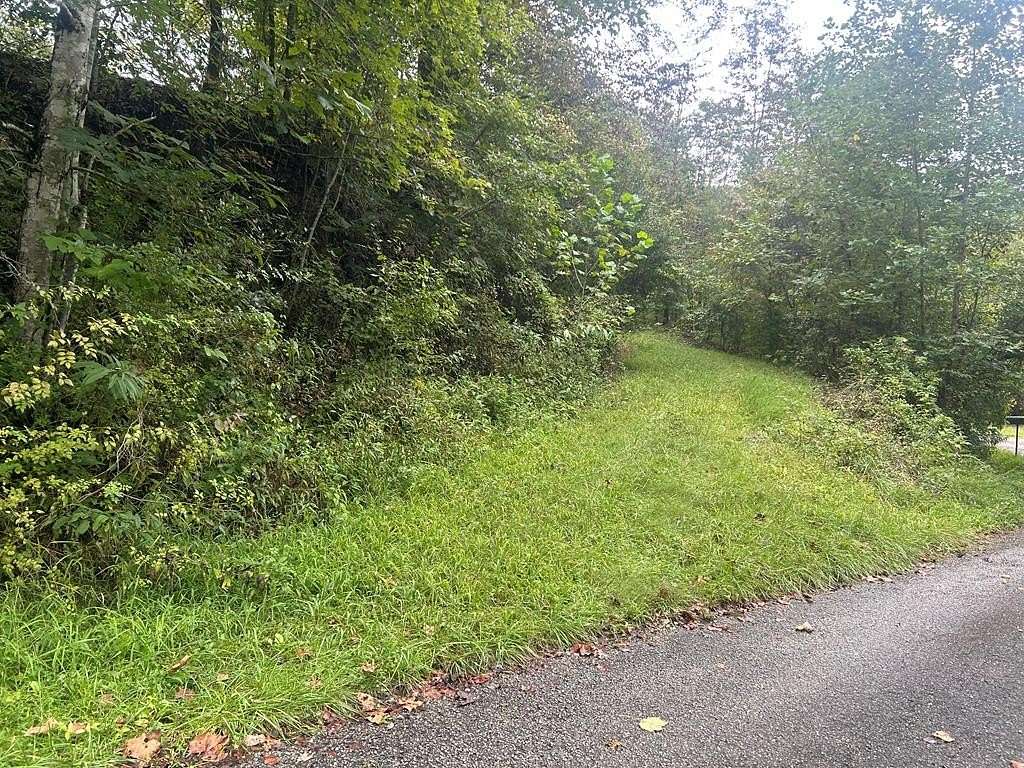 14 Acres of Land for Sale in Inez, Kentucky