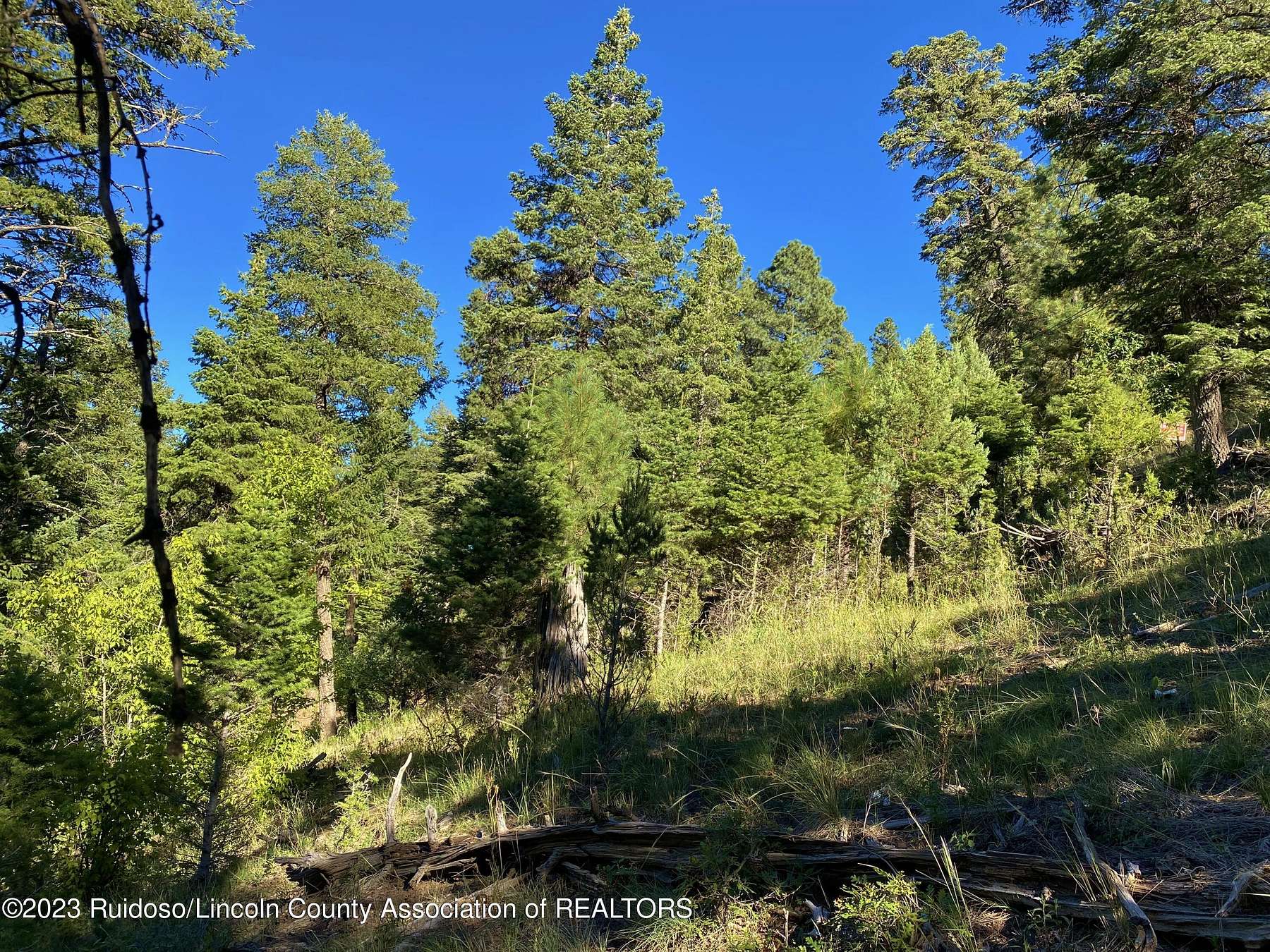 0.28 Acres of Residential Land for Sale in Ruidoso, New Mexico