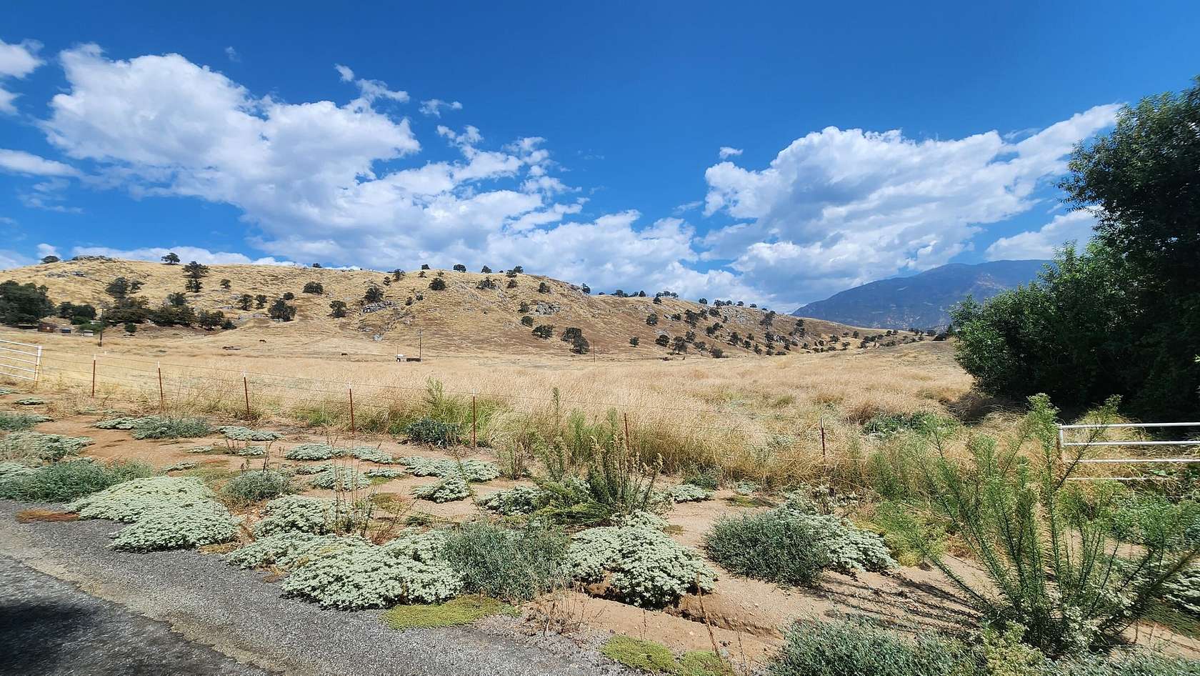 7.55 Acres of Land for Sale in Springville, California