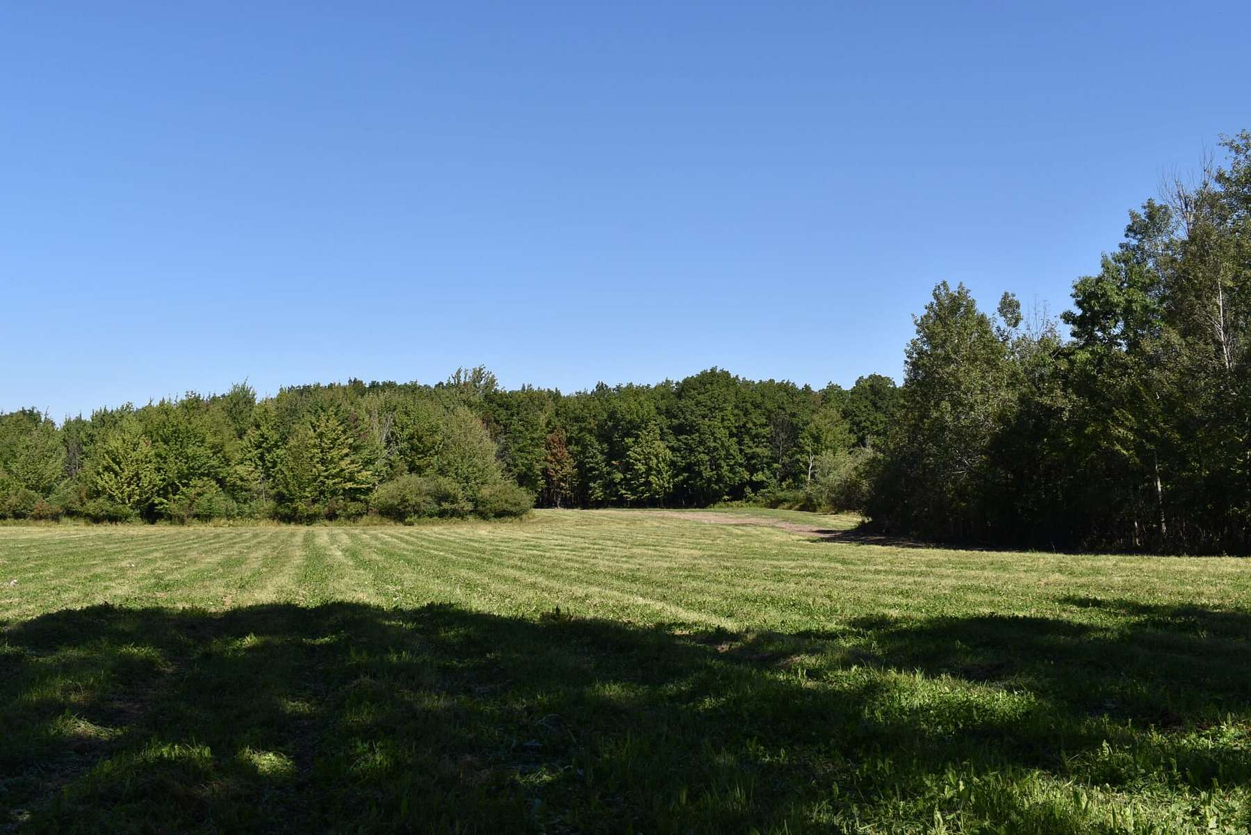 71.4 Acres of Recreational Land for Sale in Perrysburg, New York