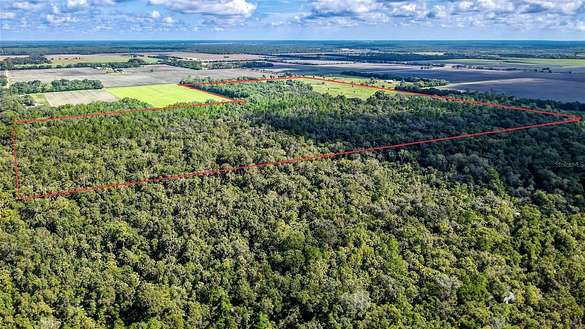120 Acres of Recreational Land & Farm for Sale in Bunnell, Florida