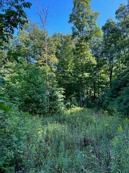 5.7 Acres of Residential Land for Sale in Bluefield, West Virginia