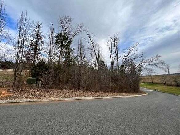 1.1 Acres of Residential Land for Sale in Flintstone, Georgia
