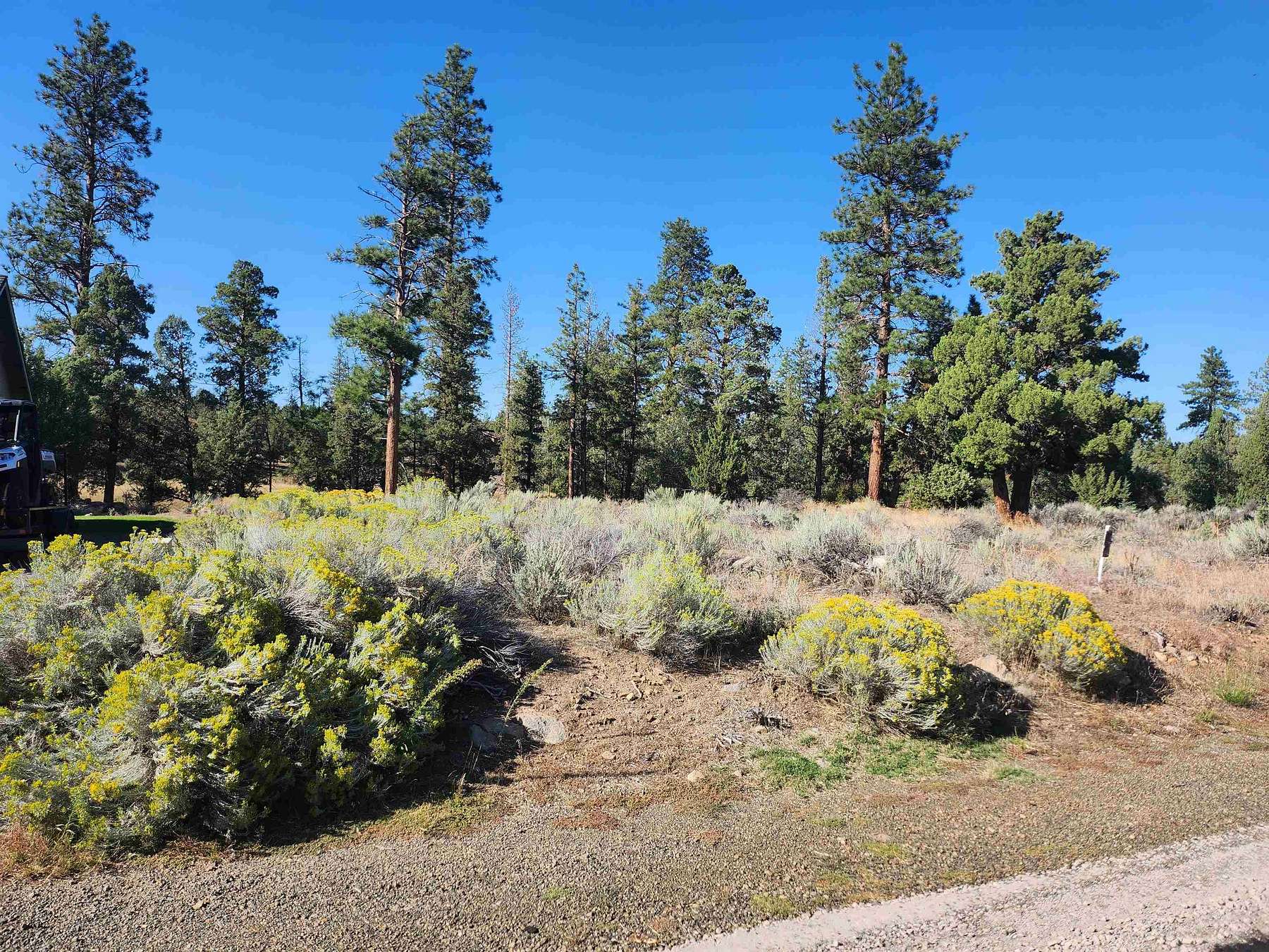 0.26 Acres of Residential Land for Sale in Weed, California