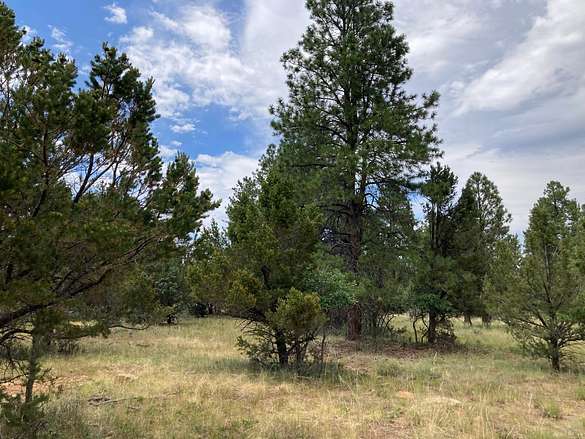 0.96 Acres of Residential Land for Sale in Ridgway, Colorado